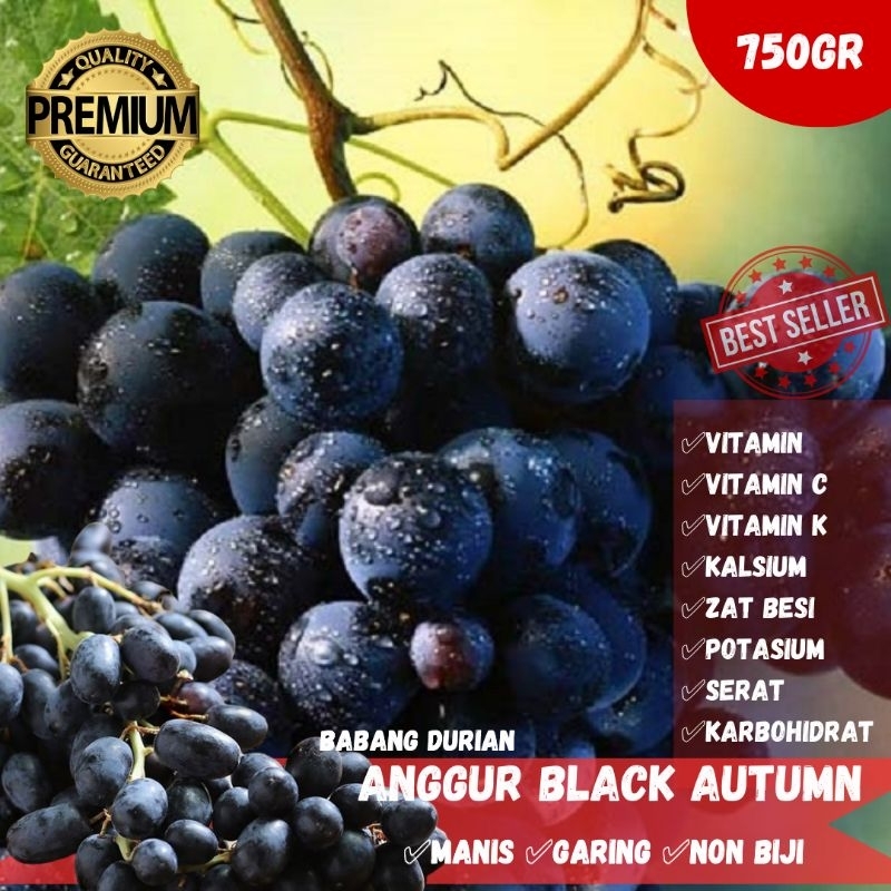 

ANGGUR BLACK AUTUMN FRESH 500GR MANIS GARING BERKUALITAS