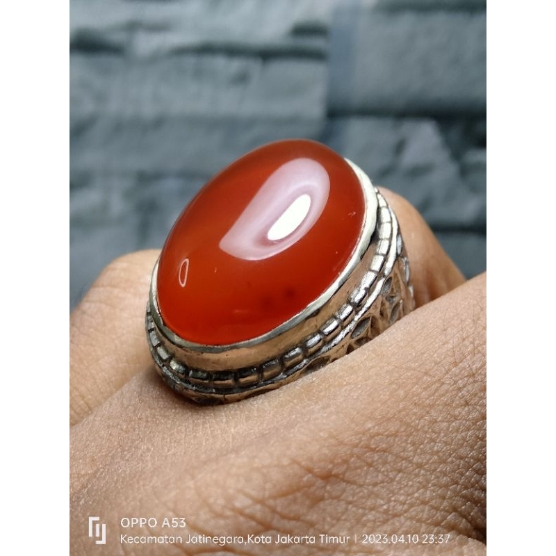 batu cincin akik raflesia Bengkulu