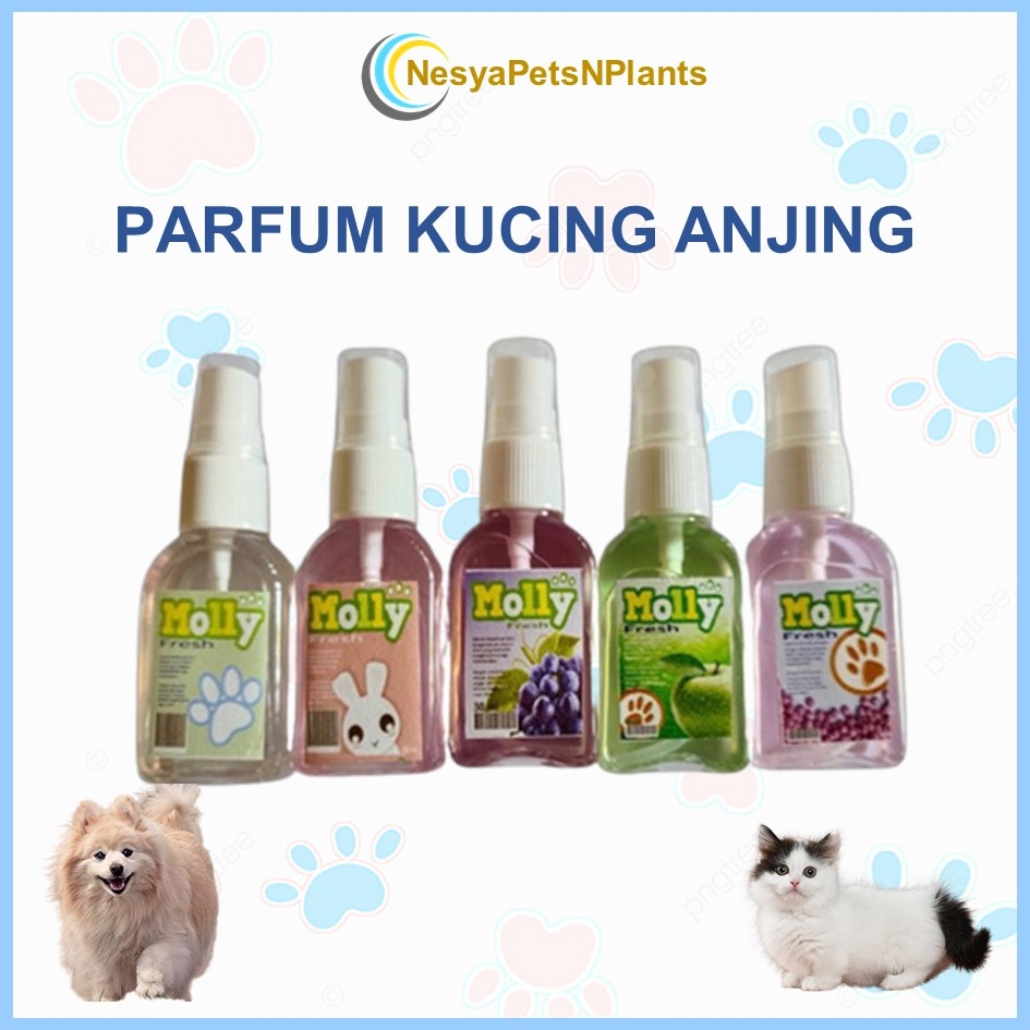 Parfum Kucing Anti Bakteri Anti Jamur 30ml Aroma Lemon Anggur Apel Bubble Gum