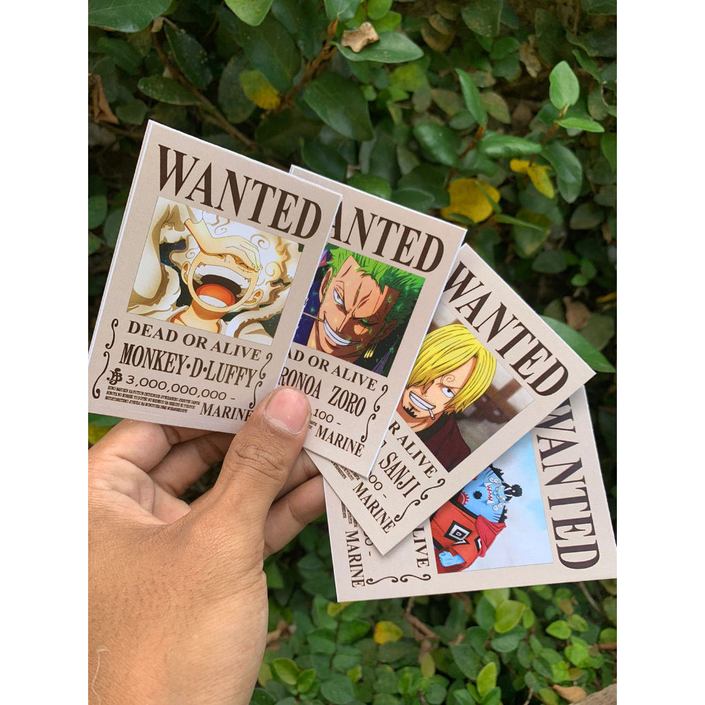 Pola Deco Mini Poster Anime One Piece - Mugiwara Bounty One Piece