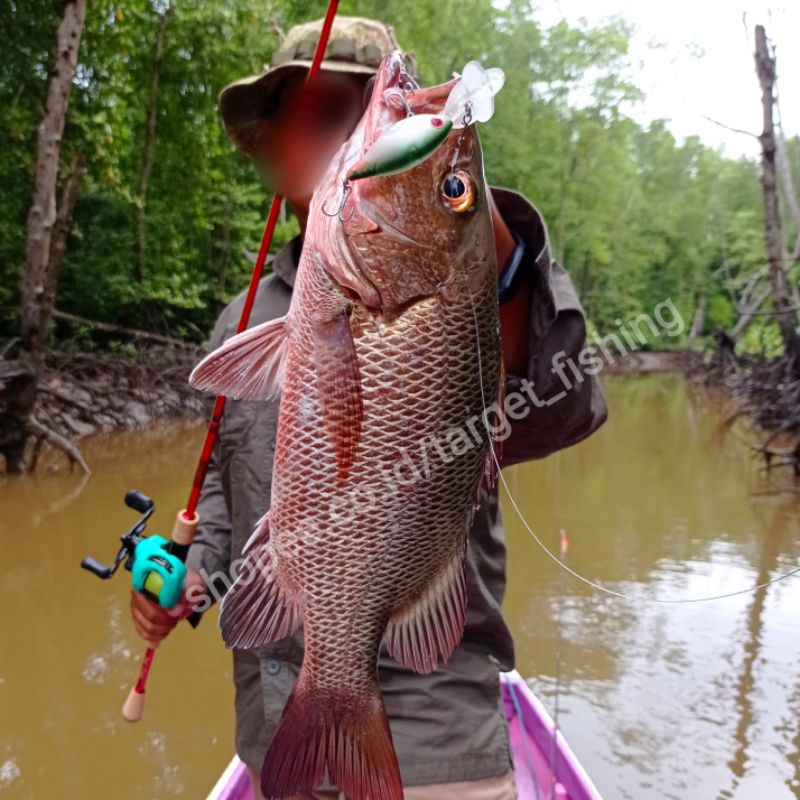 Custom Crankbait Hot-Lips Express 55mm 10gr Deep Diving 3,5m