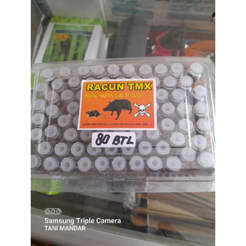 RACUN TIKUS DAN BABI HUTAN TEMIX