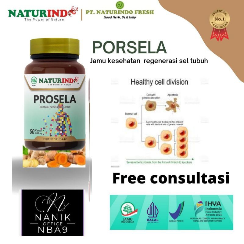 Prosela jamu kesehatan regenerasi sel tubuh