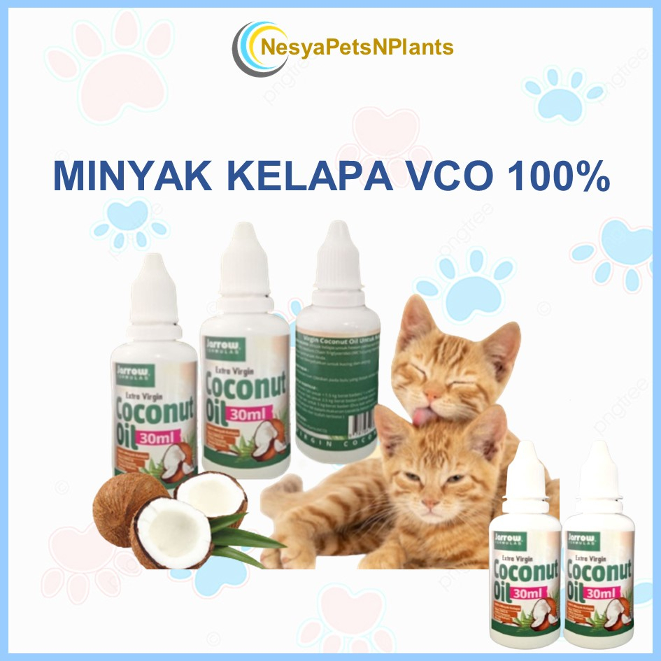 Virgin Coconut Oil 30ml Minyak VCO Kucing Anjing Hewan Peliharaan 100% MURNI MINYAK KELAPA