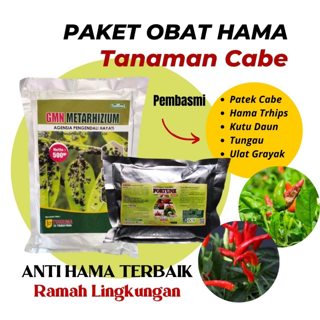 Obat Hama Cabe, Pembasmi Hama Tanaman Cabai Patek Keriting, Paket Metarhizium Anti Serangga