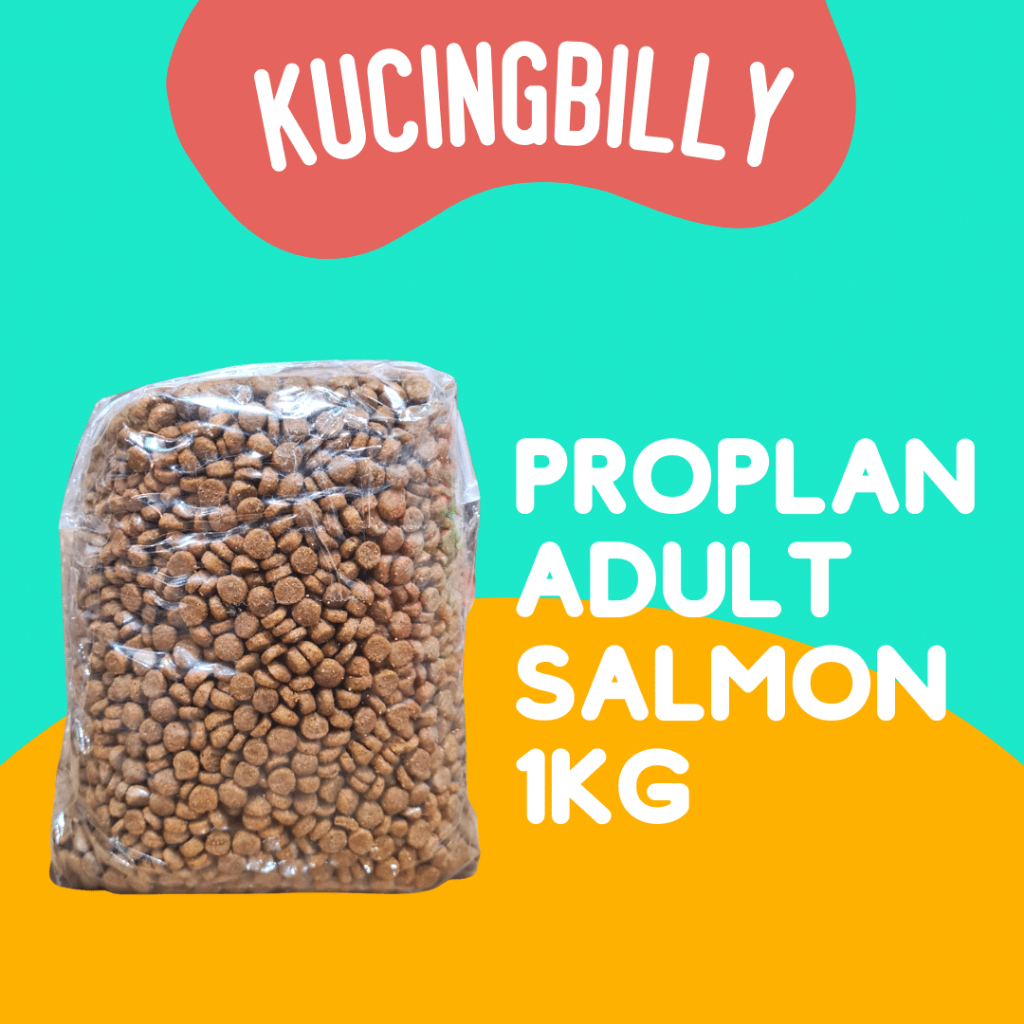 Proplan adult Salmon 1kg makanan kucing