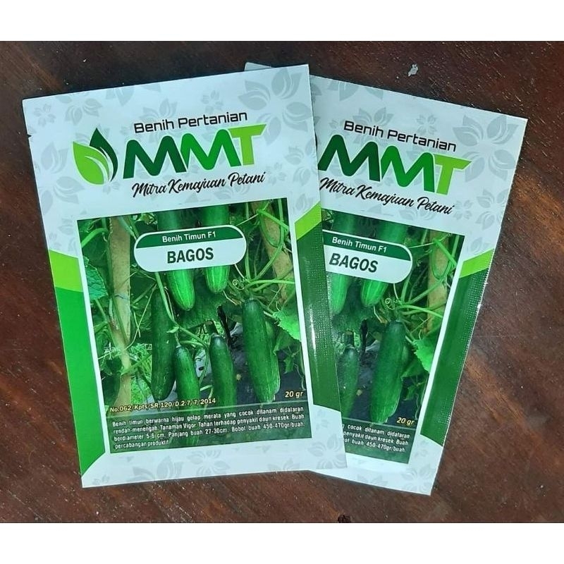 BENIH TIMUN F1 BAGOS MMT SEED Buah Lebat