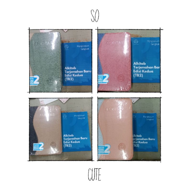 ALKITAB TB2 064  TI  SL ETNIK terjemahan baru dengan penjelasan singkat edisi kedua