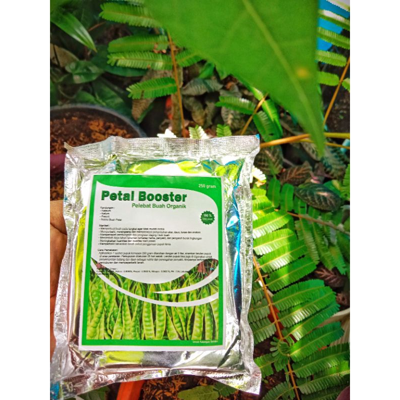 pupuk booster petai