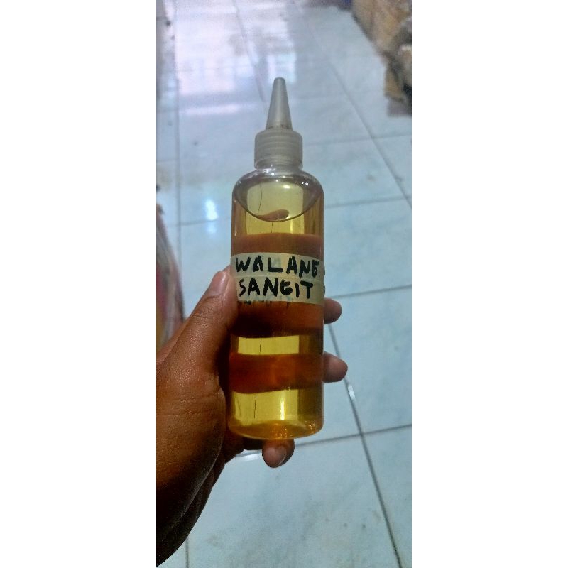 BIANG WALANG SANGIT BIANG MURNI ESSEN MURNI WALANG SANGIT ESSEN NILA MUJAER