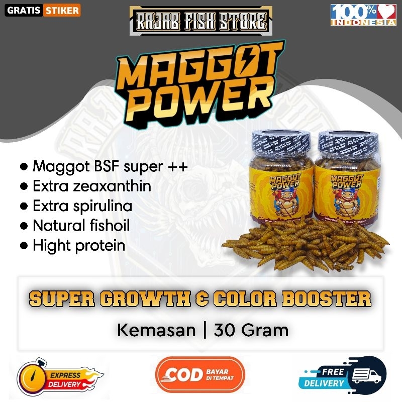 maggot kering/maggot kering premium yellow/maggot power by rajabfishstore