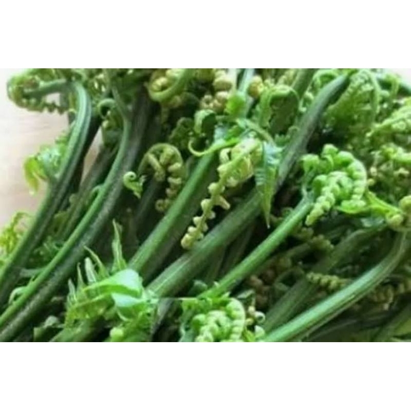

Sayur Pakis