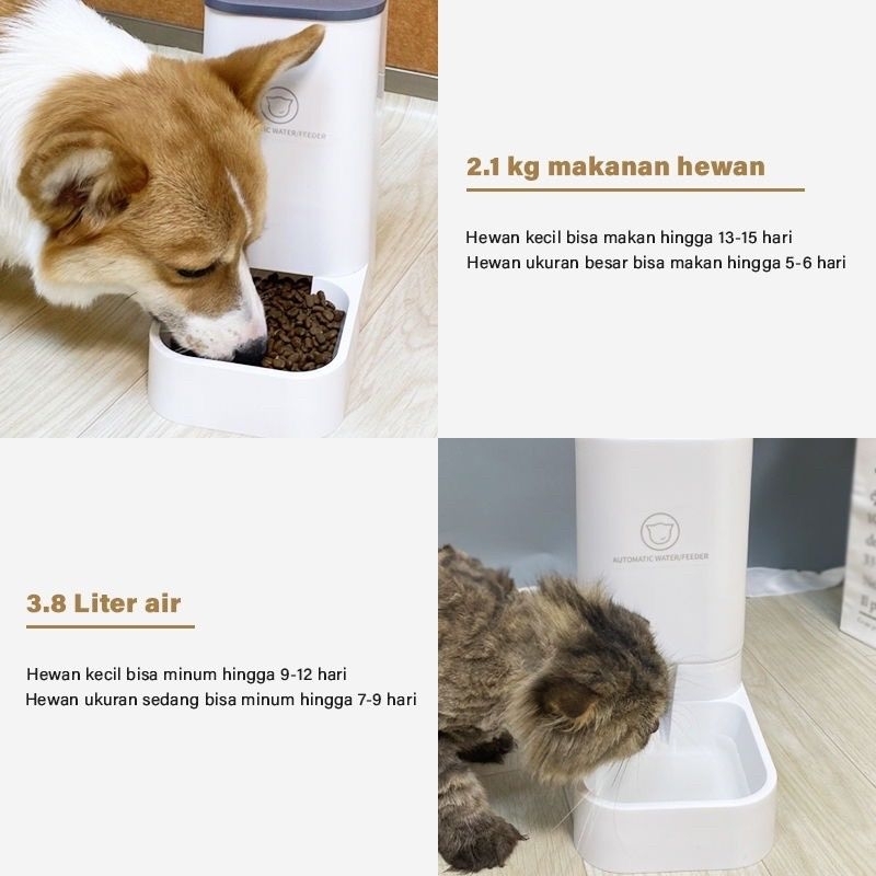 1 set Tempat Makan Tempat Minum Anabul Kucing Anjing Food Dispenser Water Dispenser for Pet