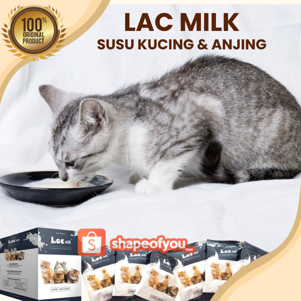 Lac Milk Kitten Susu Kucing Baru Lahir Low Lactose Nutrisi Vitamin Kesehatan Penggemuk Kucing Sachet