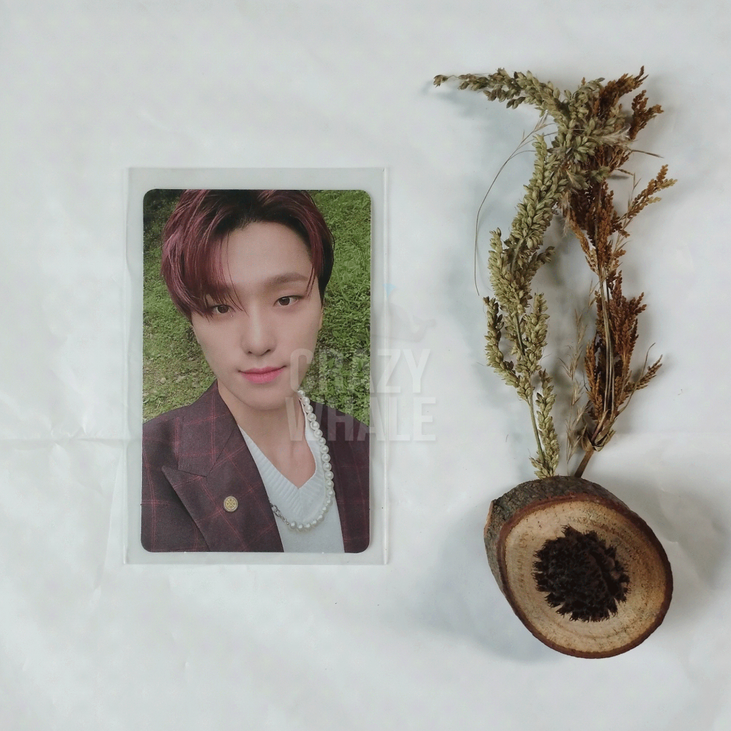 PC SEVENTEEN Dino Social Club / SOCO Al Fine