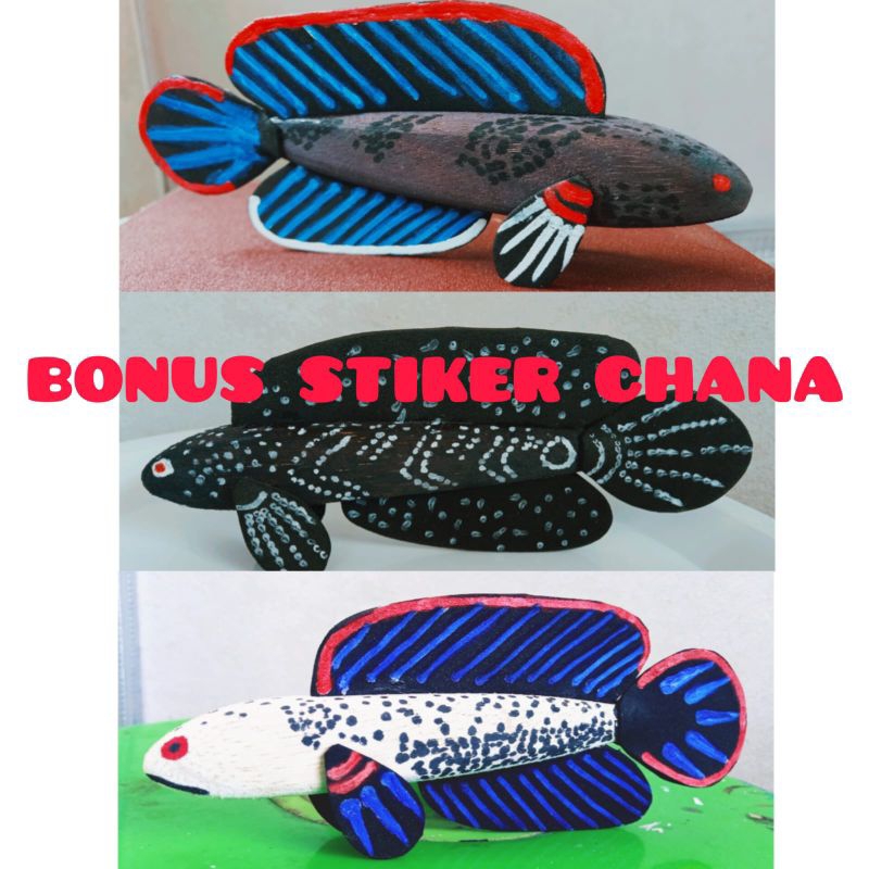 PATUNG CHANA LIMBATA ASIATICA STEWARTI