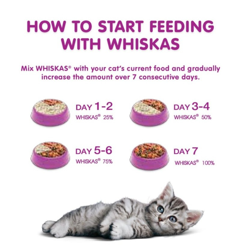 WHISKAS JUNIOR OCEAN FISH WITH MILK 1.1KG DRY FOOD / MAKANAN KERING ANAK KUCING