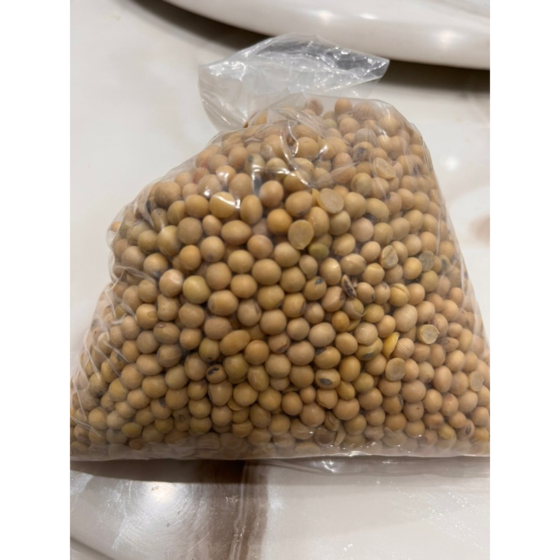Kacang kedelai mentah 1kg soya bean