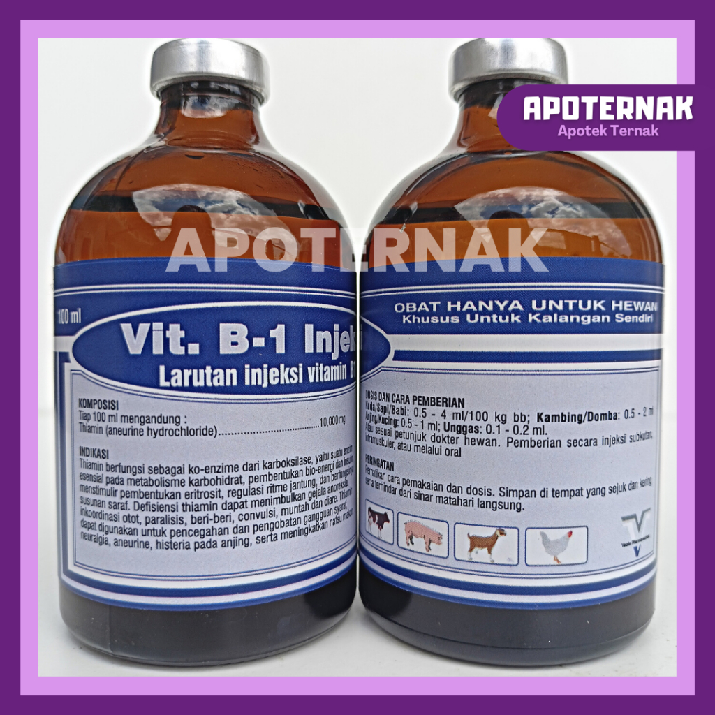 Vitamin B1 Injeksi 100 ml | Vitamin Untuk Pertumbuhan &amp; Nafsu Makan Hewan | Vit B1 Hewan | Vitamin B1 Hewan | Seperti B1 Wonder