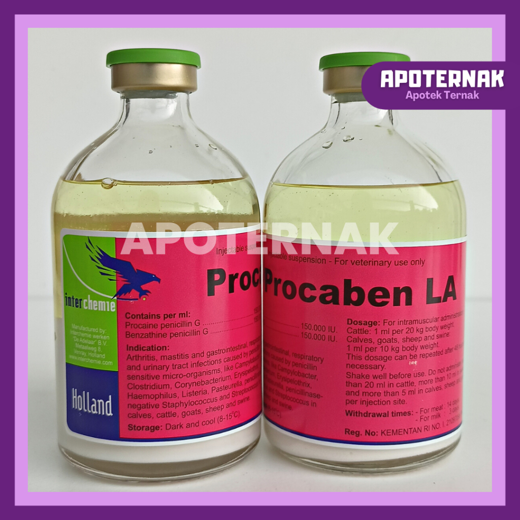 PROCABEN LA 100 ml | Obat Infeksi Saluran Pernafasan Pencernaan Perkencingan | Seperti PENSTREP 400 Original