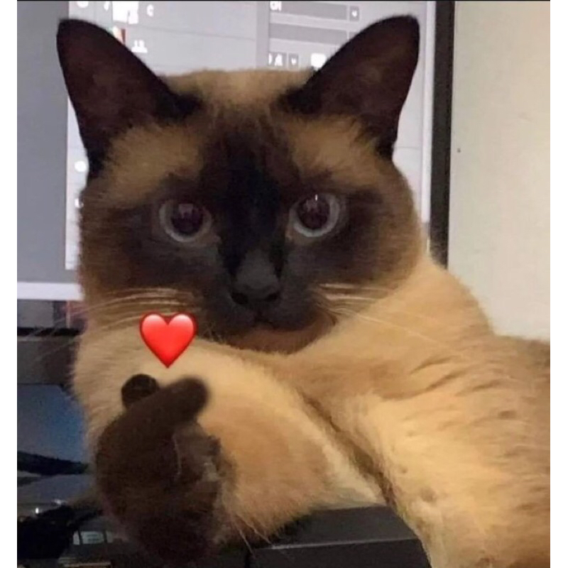 The Boyz Younghoon Benefit Music Spot Trill Ride PhotoCard