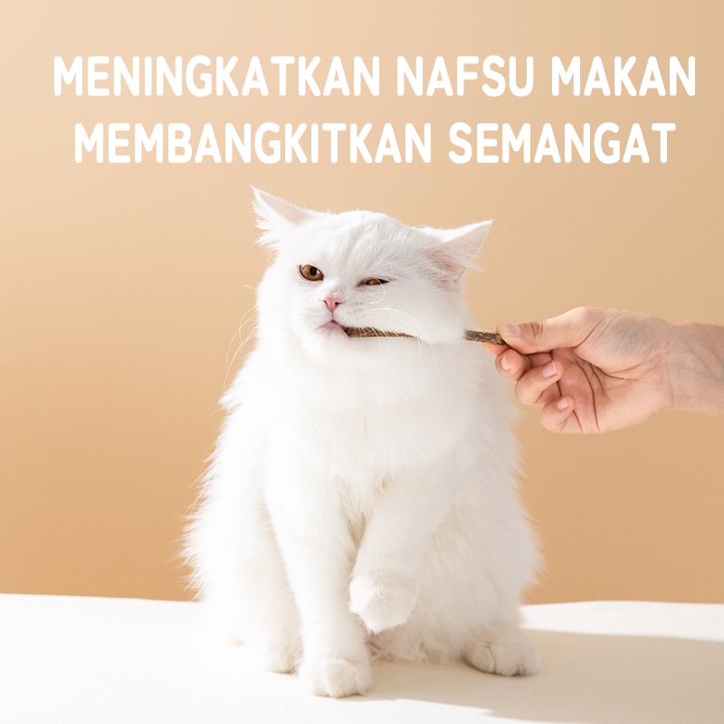 CATNIP Molar STICK MATABI - Catnip Snack Makanan Kucing Kitten Catnip Stick