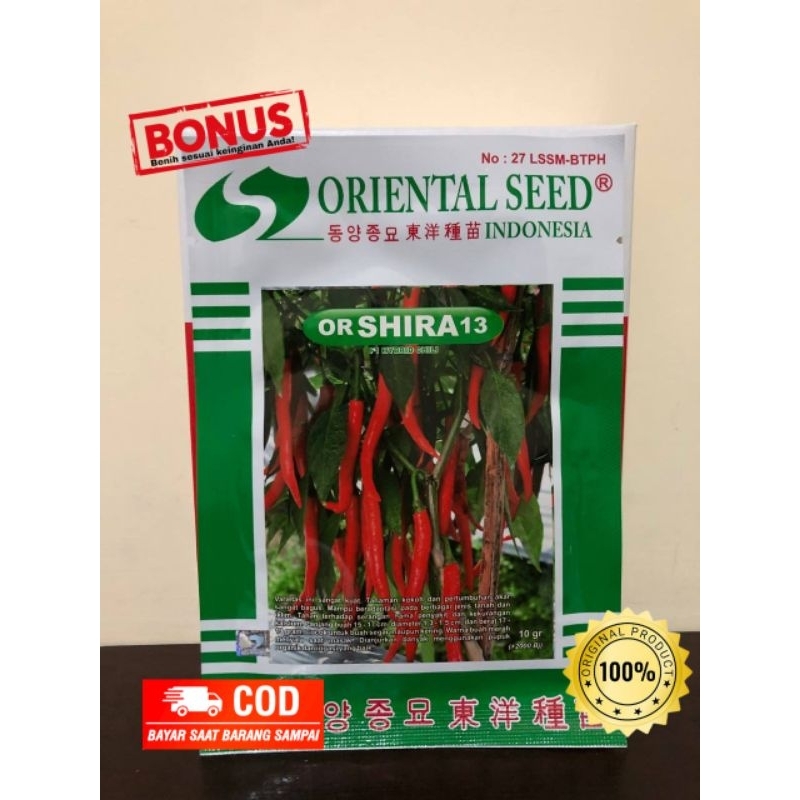 Benih Cabe OR Shira13 dari Oriental Seed