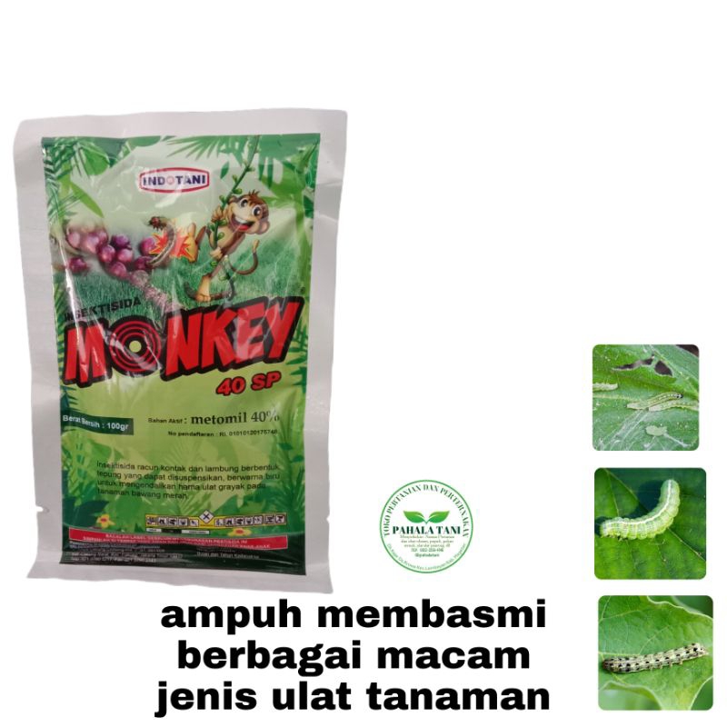 MONKEY40SP/insektisida/metomil 40%/hama ulat/ulat grayak/ulat krop/kutudaun/trip