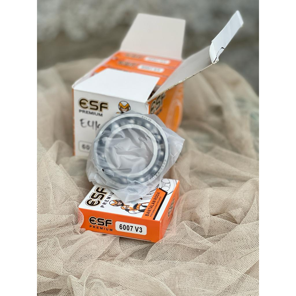 BEARING 6007 LAHER LAGER BEARINGS 6007 ESF