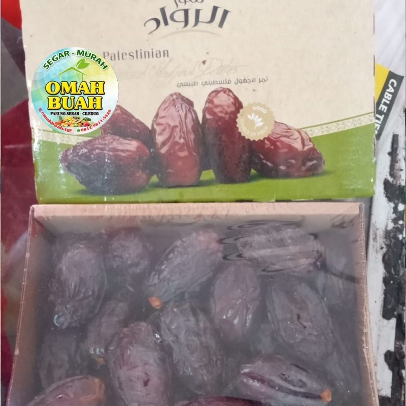 Kurma Medjol Palestine