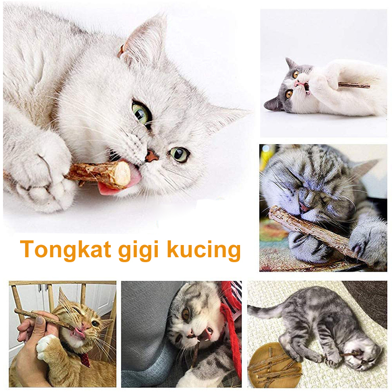 Catnip Stick Kucing Cemilan Kucing Matabi Snack Natural Matabi  Mainan Kucing