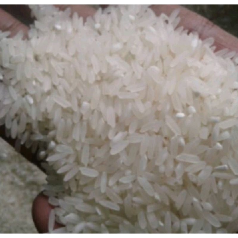 

beras panjang lokal garut