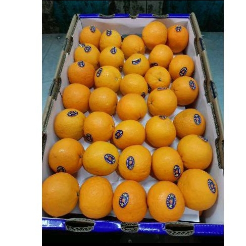 

Jeruk Import Mandarin Wogan Wokam kemasan 1 kilo