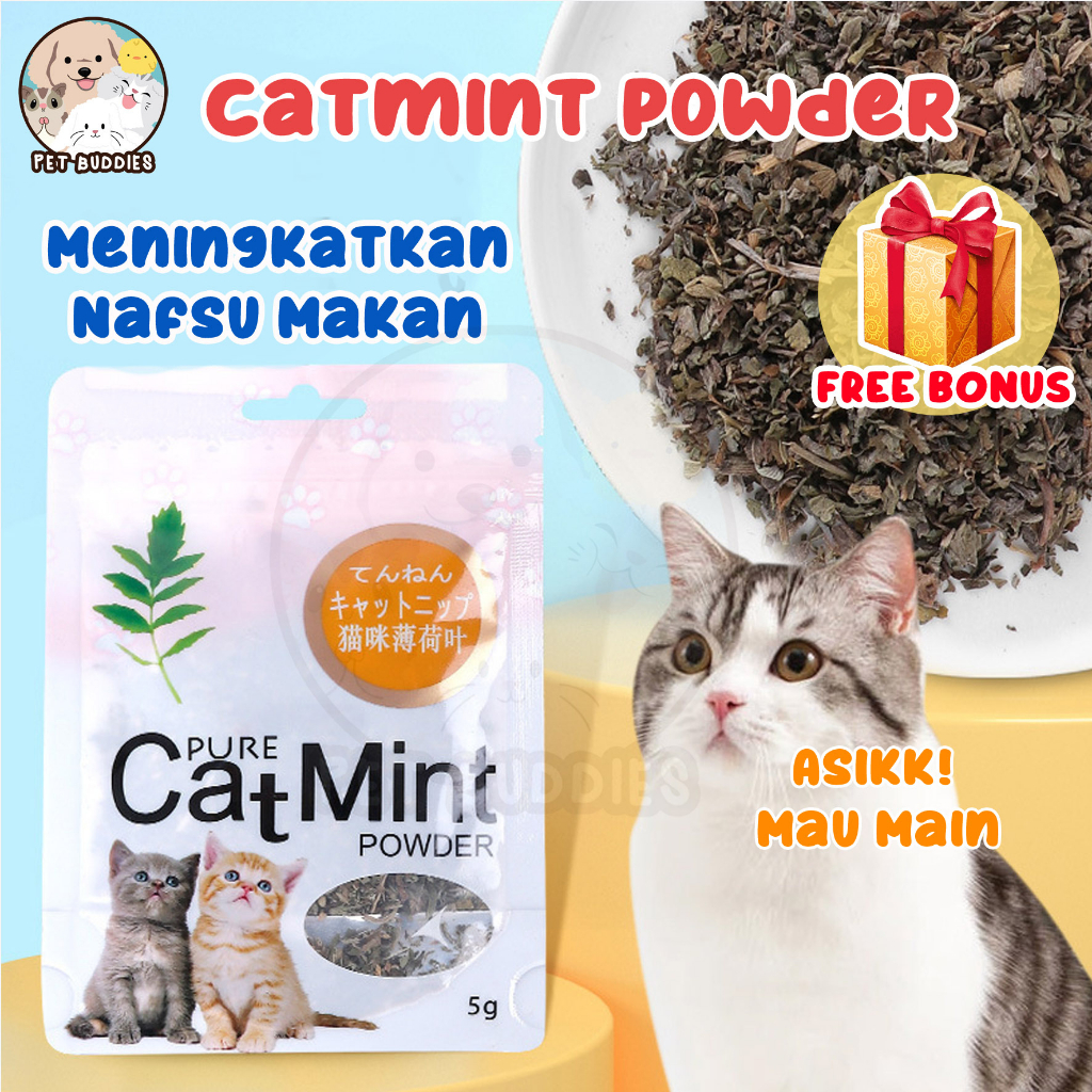 [FREE BONUS]Natural Catnip/Catmint Powder Snack Makanan Kucing Cat Toy