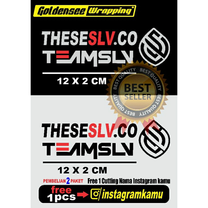 LARIS & MURAH...!!! Cutting Sticker TEAMSLV, LOGO SLV, TEAM SILVER LOGO. TheseSLV.CO, sticker pack T