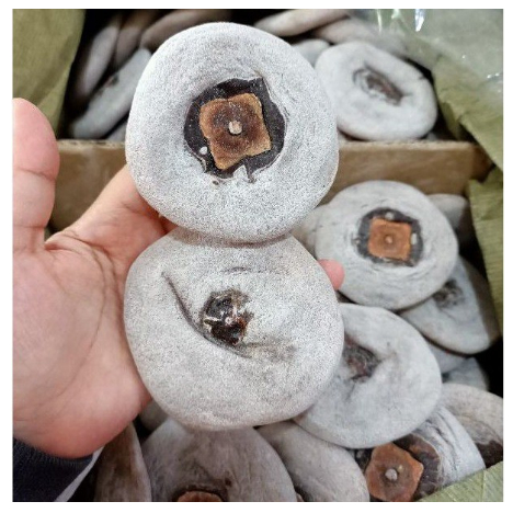 Manisan Buah Kesemek Kering / Dried Persimmon / Sai Pia / Saipia / Buah Kesemak Import