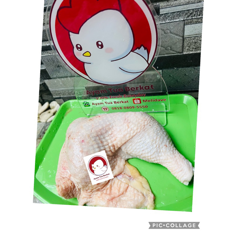 

Paha ayam tua/peren potongan FRESH