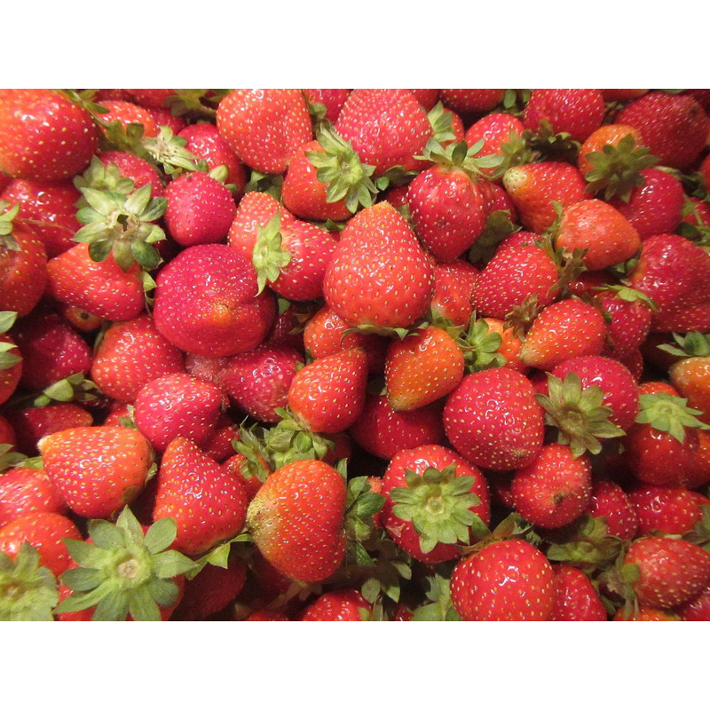 

Strawberry fresh 500 gram palembang (Pre-order)