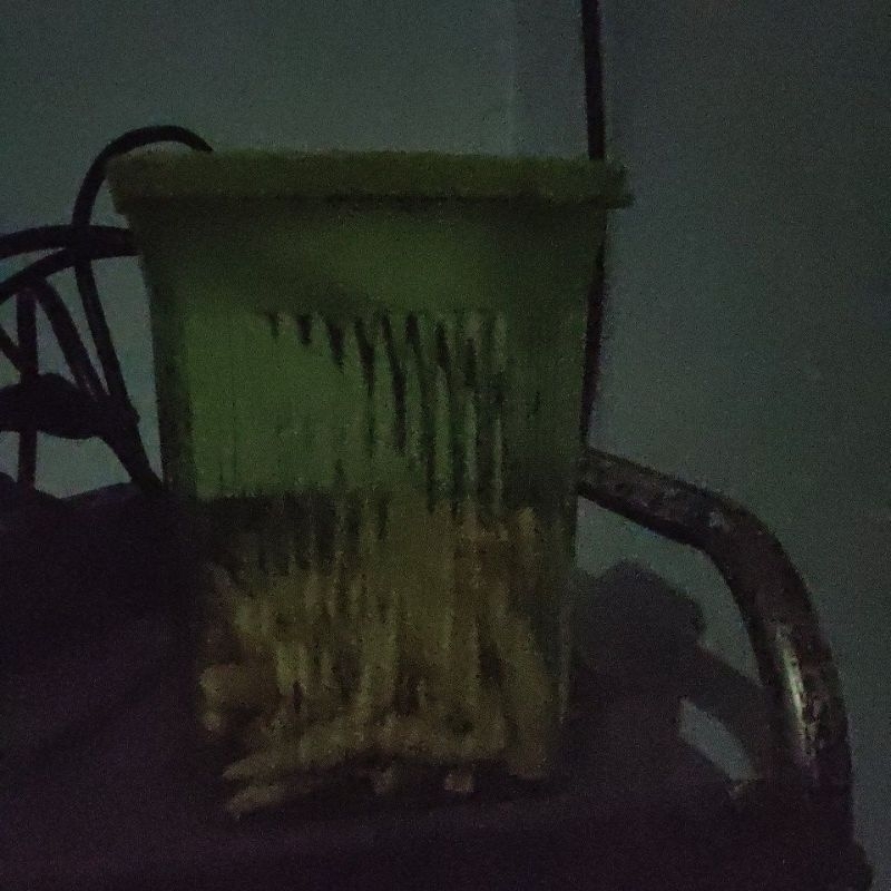 

Kue pasang