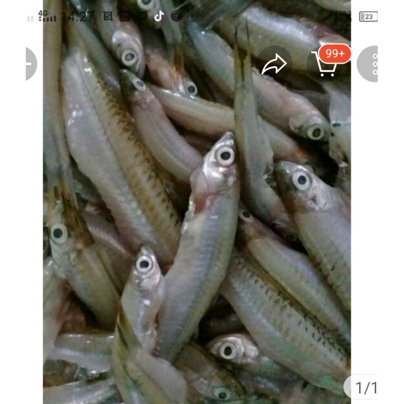 

Ikan Seluang Segar 500gram