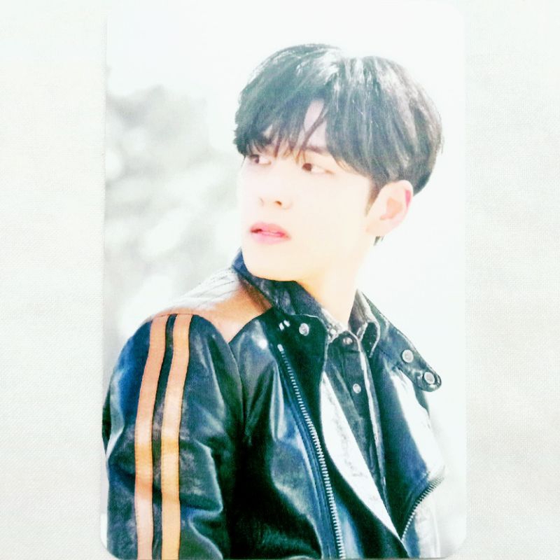 Day6 The Book Of Us : Negentropy - Chaos Swallowed Up In Love Benefit Bene Photocard PC Subk Shop Su