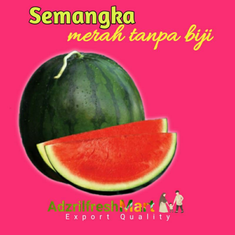 

BUAH SEMANGKA MERAH NON BIJI SIZE 3,5-4,5KG PER BUAH