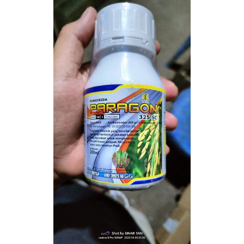 fungsida PARAGON 325 SC Azoksistrobin 200 g/l+Difenokonazol 125 g/l 250ml