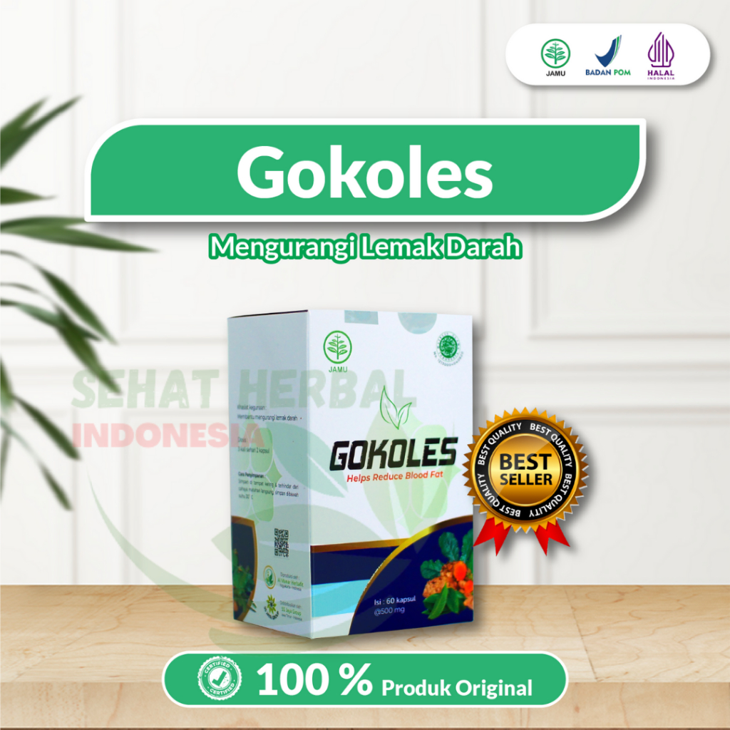GOKOLES 100 % ASLI OBAT KOLESTROL AMPUH BY SS JAYA HERBAL GROUP