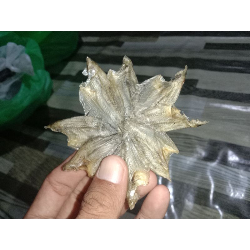 

Ikan Sepat Karing Khas Nagara
