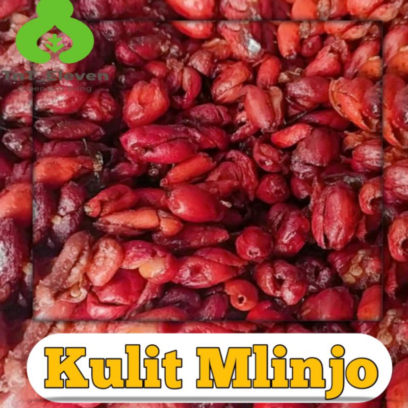 

Kulit Mlinjo / Moto Maling Pedas Manis (100gr)