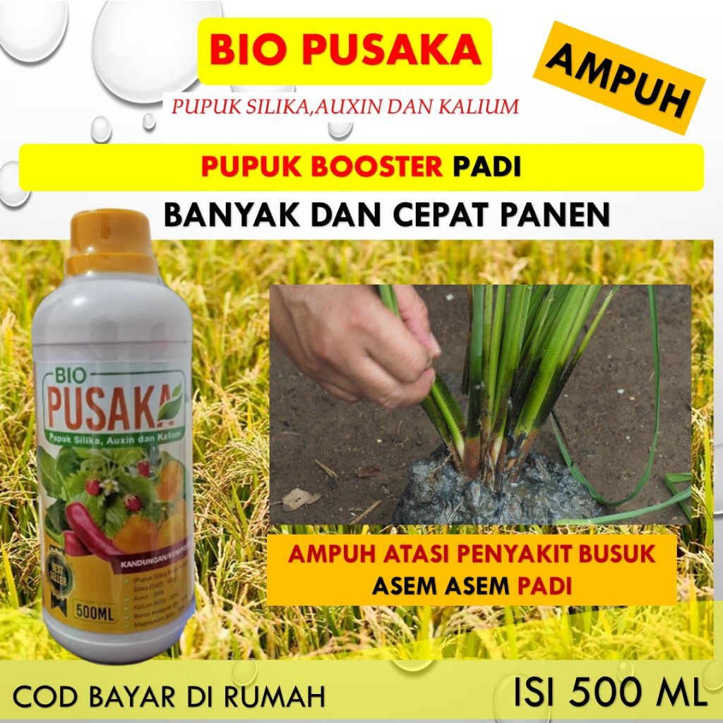 PROMO BIO PUSAKA  500 ML – Pupuk Pembasmi Asem-aseman padi manjur – Obat Pelebat Pdi Anti Penyakit H