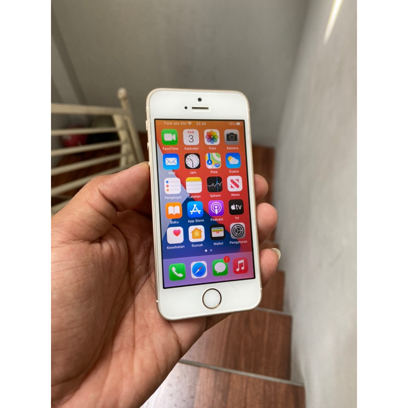 iphone 5SE 64gb bypass cell