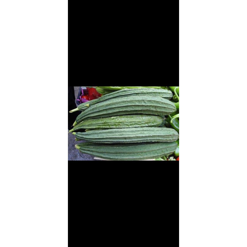 

Sayur oyong (Gambar)