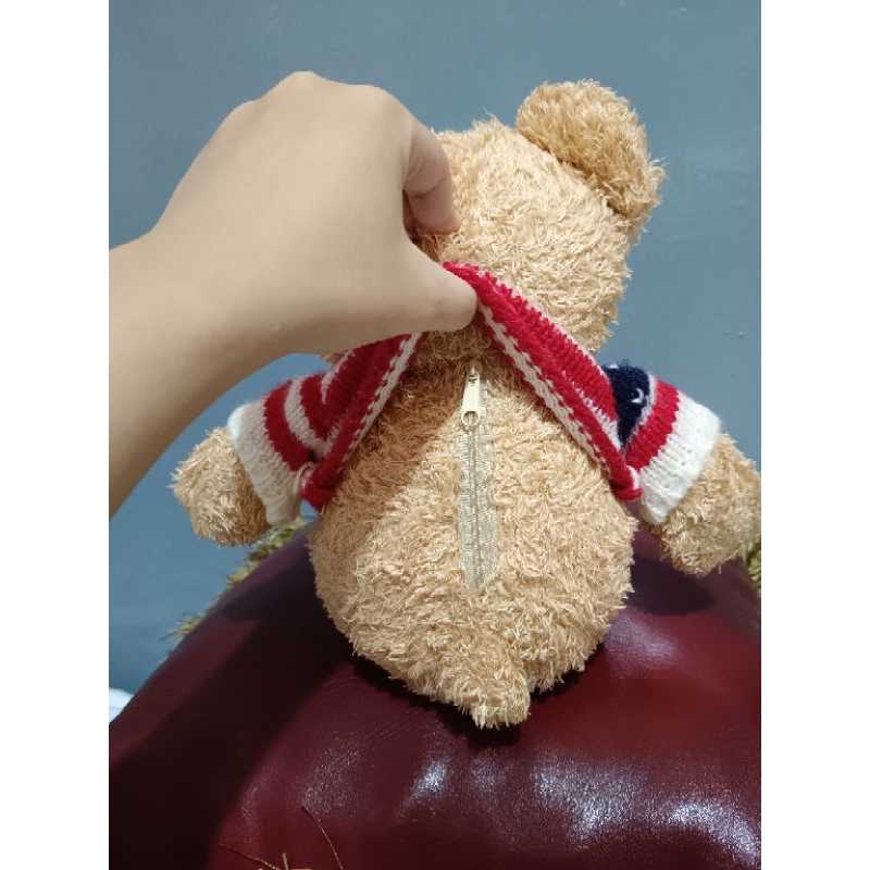 boneka teddy kostum